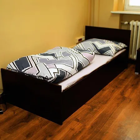 Hostel Art Πόζναν